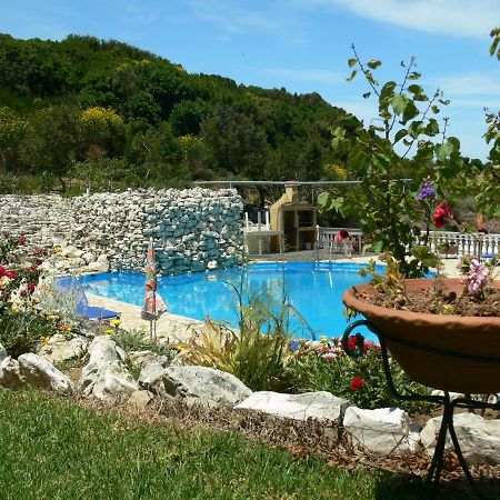 Angela Apartments Pool Gardens And Sea Views Agios Stefanos Avliotes  ภายนอก รูปภาพ