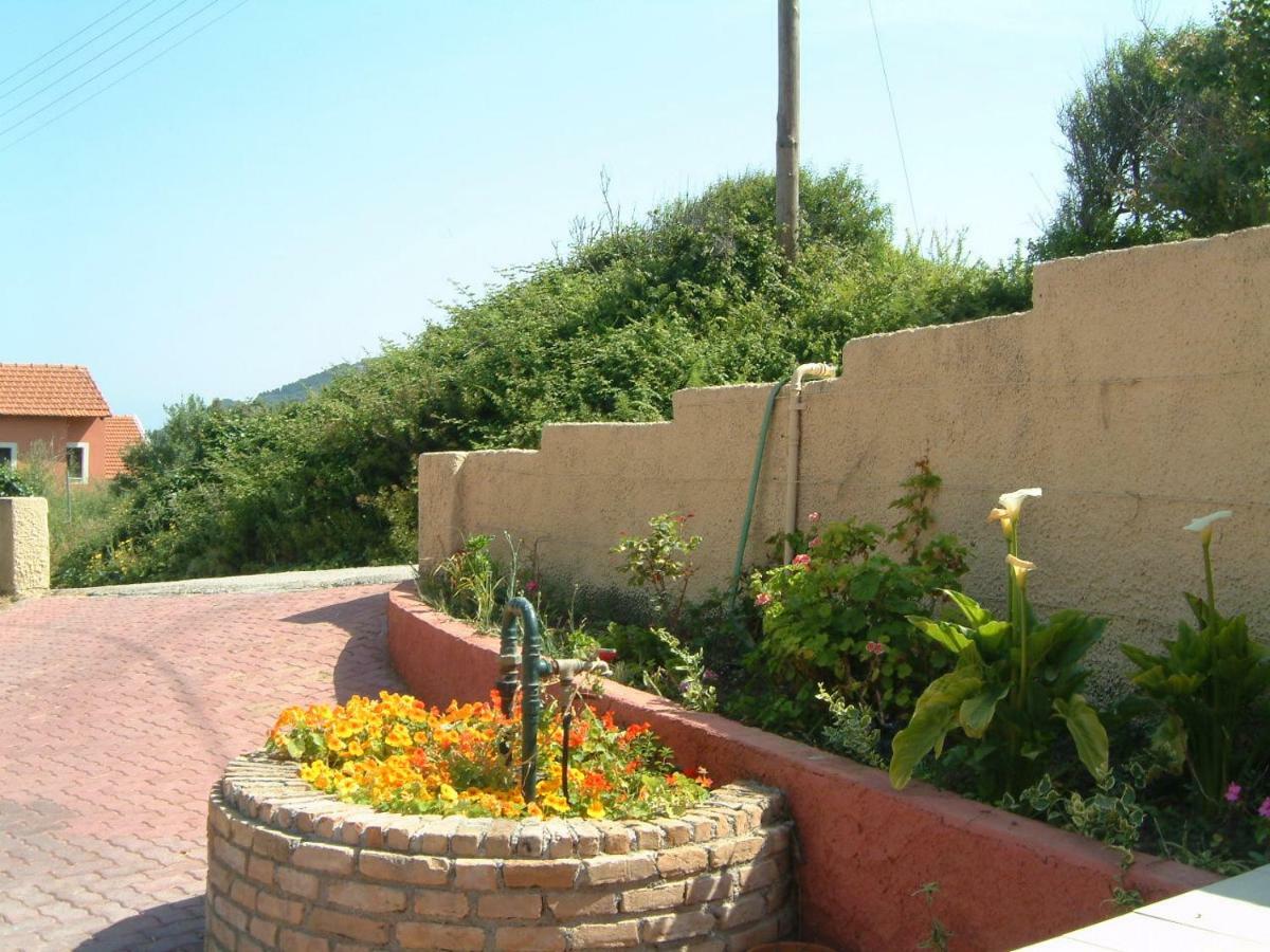Angela Apartments Pool Gardens And Sea Views Agios Stefanos Avliotes  ภายนอก รูปภาพ